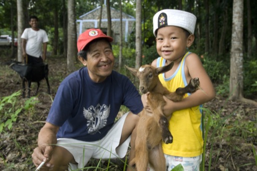 a Goat a Goat